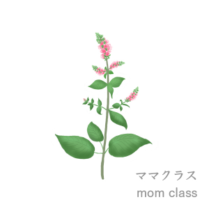 mom class